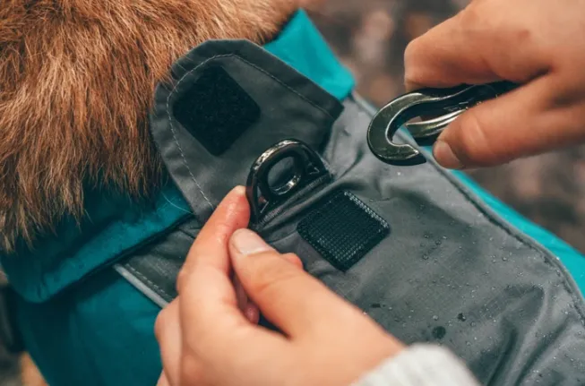 Adventure Dog Rain Jacket