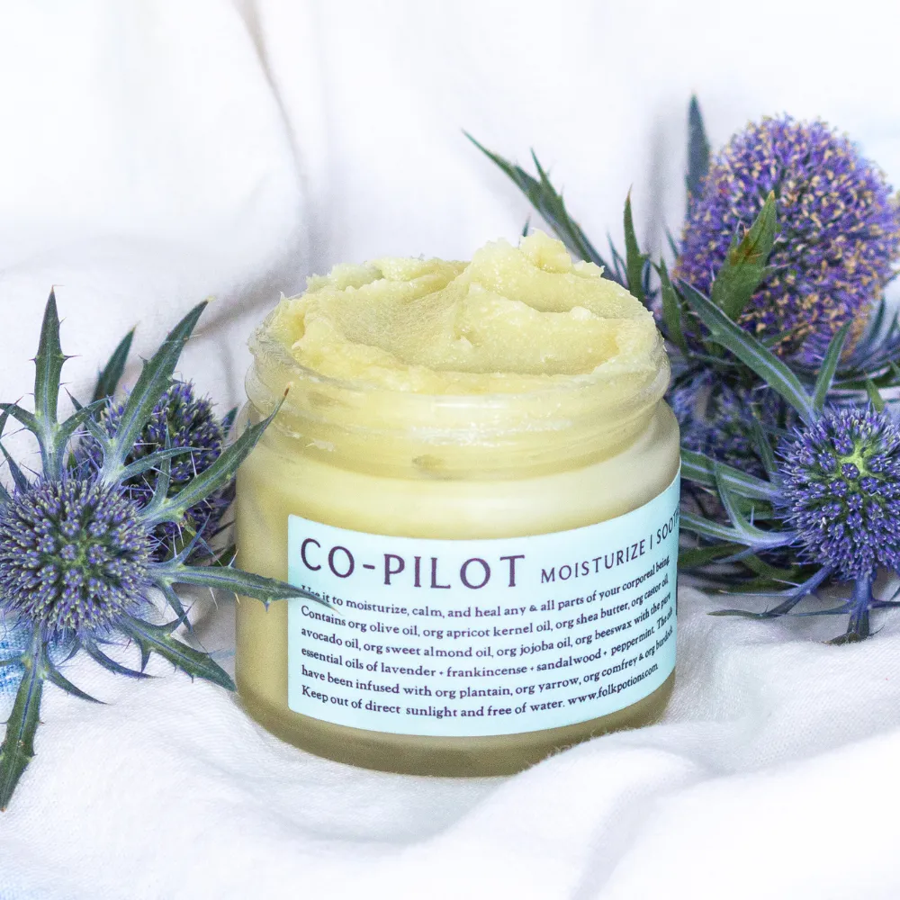 Goodbye Fungi Salve   Co-pilot Everything Balm