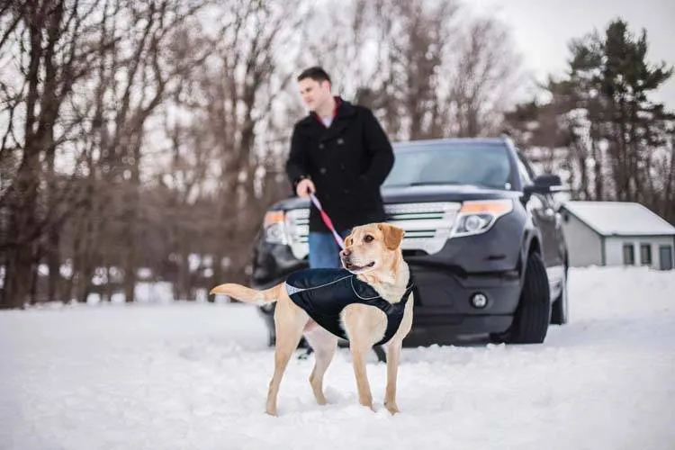 North Country Dog Coat