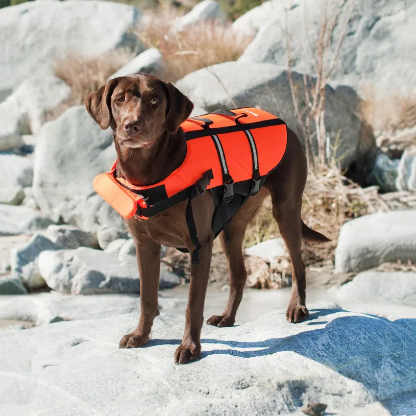 Zippypaws Adventure - Life Jacket S